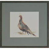 Turkey Stance Print