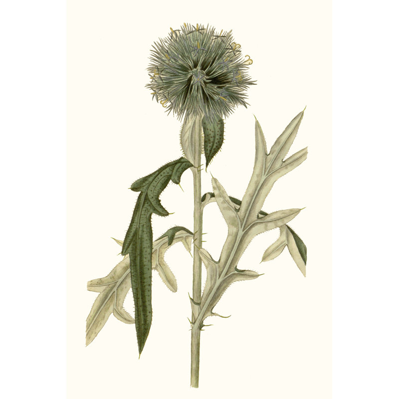 Soft Blue Botanicals VI by Curtis - Painting on Canvas, 122cm H x 81cm W, Black Floater Framed