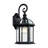 Roscoe 15.38" H Outdoor Wall Lantern-1508952643