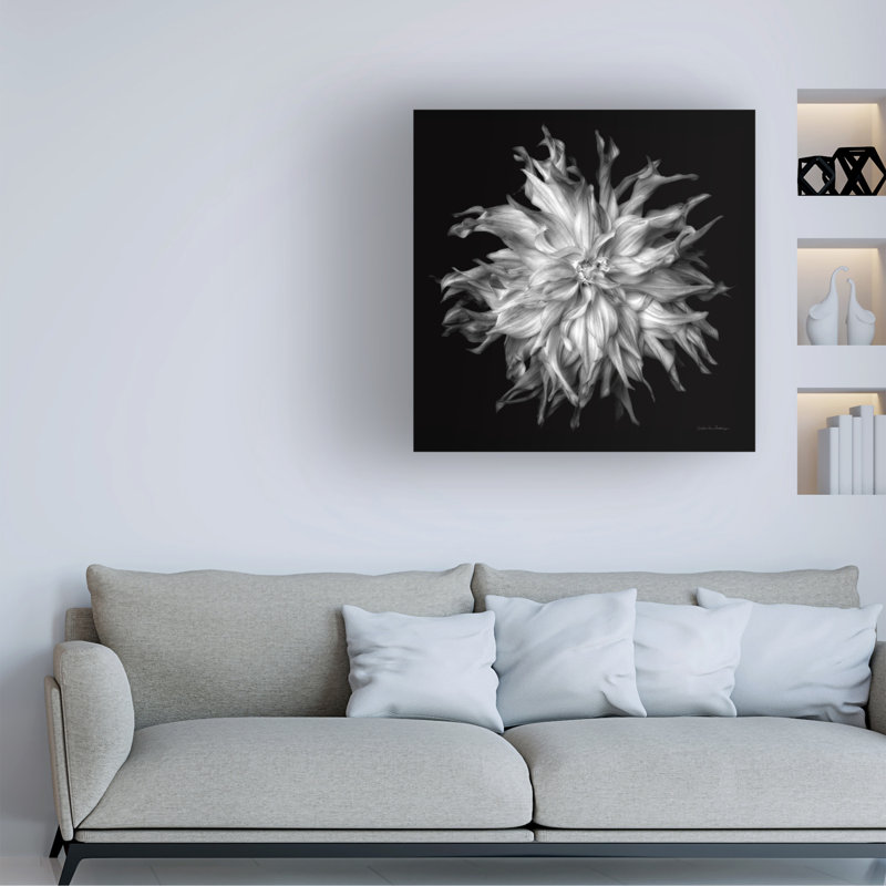 Œuvre d'art sur toile bolognaise, bol, H 18 po x l 18 po, Noir