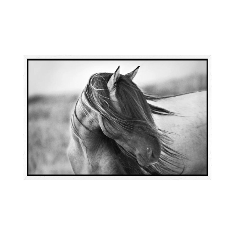 Tony Stromberg - Wrapped Canvas Print, 66.04 cm H x 45.72 cm W, White Floater Framed