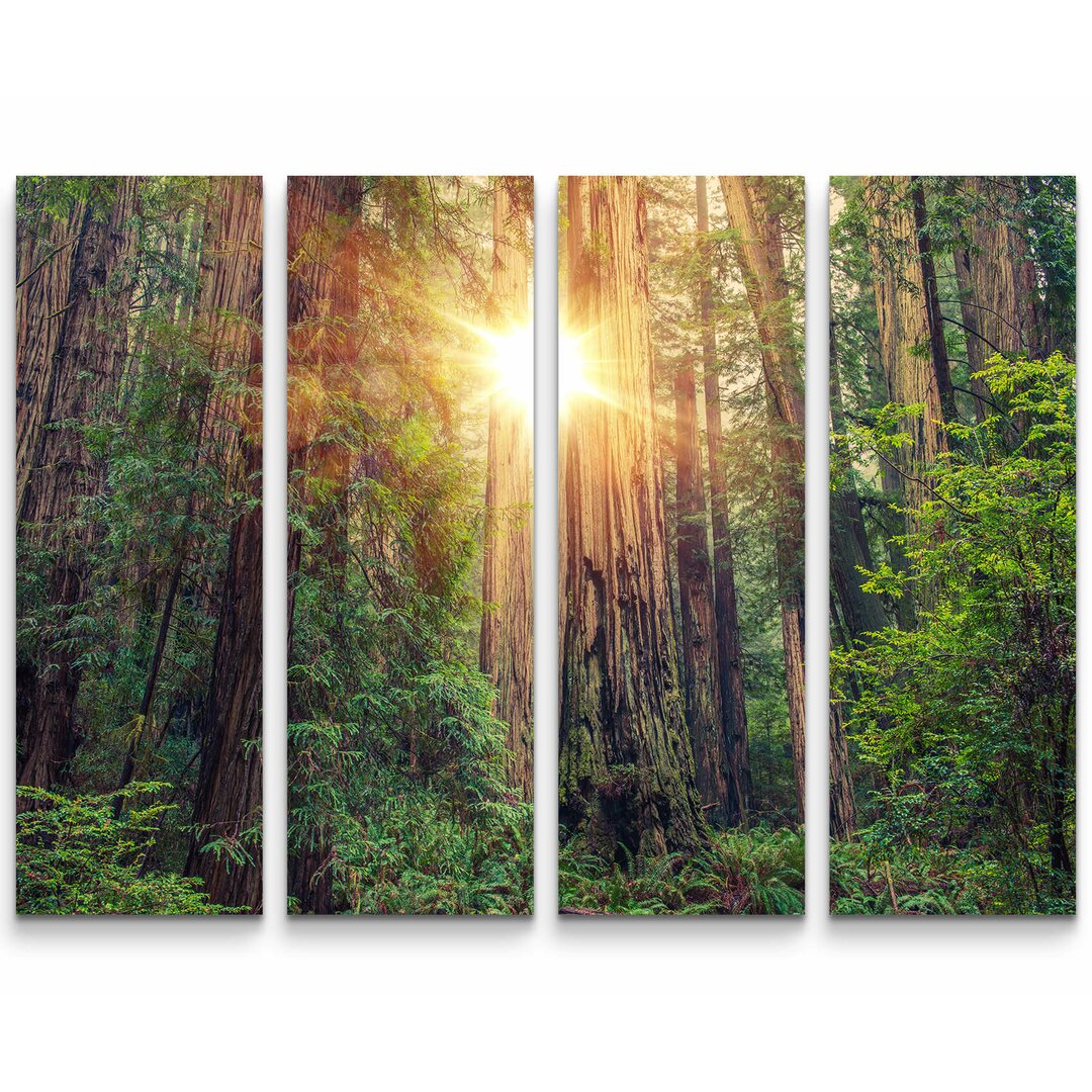 4-tlg. Leinwandbilder-Set Redwood Forest mit Sonnenstrahlen