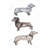 Dachshund Dogs Print On Canvas