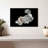 Brampt White Betta Fish-108736151