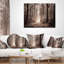Schafer, photographie de paysage, sentier forestier-1177814105-1177814109