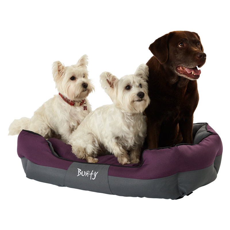 Levesque Polyester Pet Bed, 25cm H x 90cm W x 70cm D, Purple