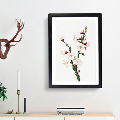 Apricot Flower 1 Piece Single Picture Frame Painting