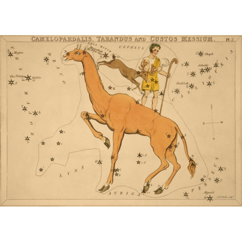 Camelopardalis Print by Grand Archives, 22" H x 31" W, Black Framed