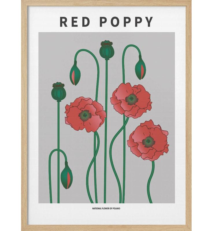 "Red Poppy", art mural texturé encadré, Naturel, H 14 po x l 10 po