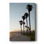 Chemin Santa Monica - galerie Cavas sur mesure-1891989650