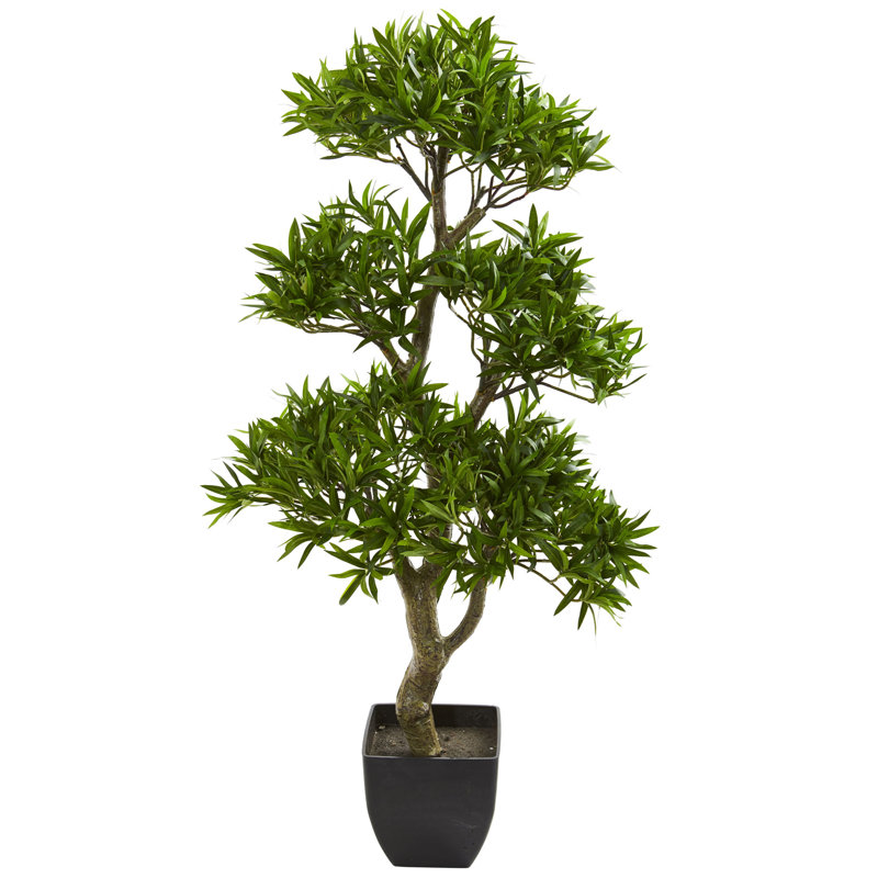 Arbre à feuillage artificiel podocarpus dans un pot de fleurs, 37" H x 16" lx 8" p