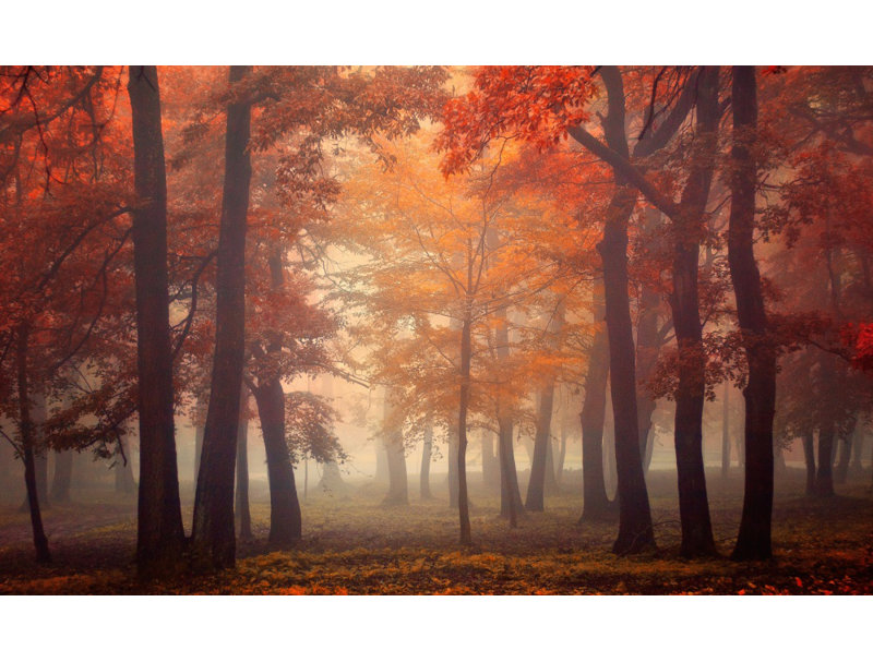 Wrapped Canvas Print, 60.96 cm H x 91.44 cm W