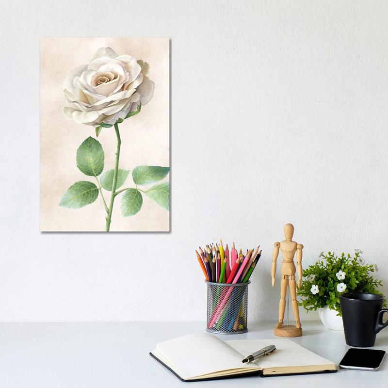 Ivory Roses Panel I by Kelsey Wilson - Wrapped Canvas Print, 20.32 cm H x 30.48 cm W