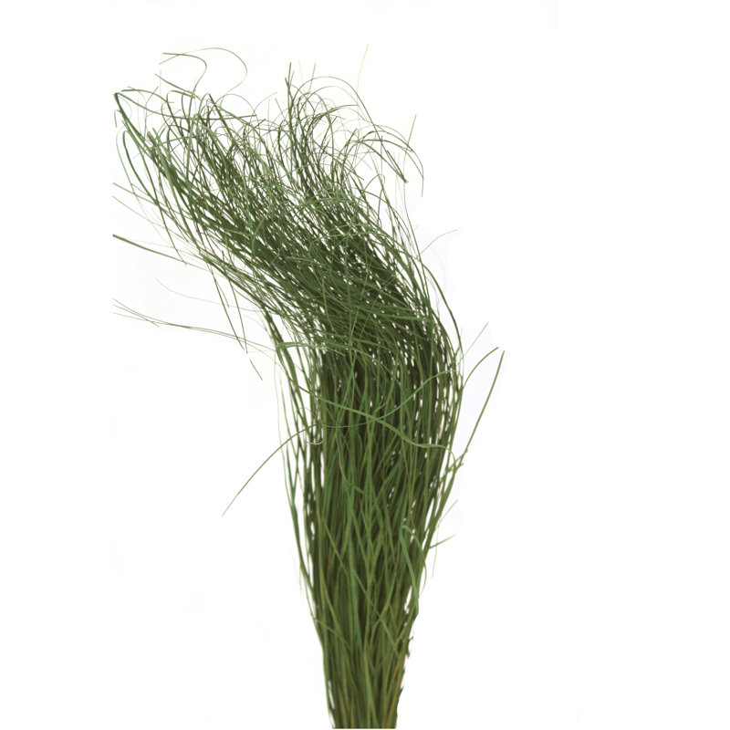 Bear Grass Arrangement