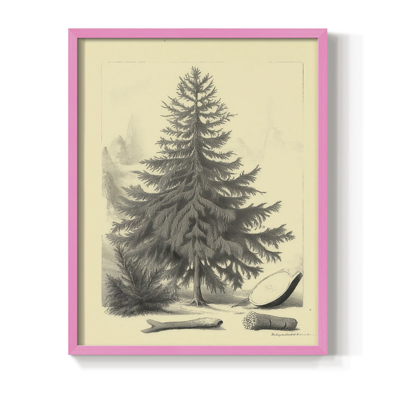 Reproduction d'art encadrée de Noël, H 21 po x l 17 po, Rose