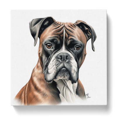 Boxer Dog Drawing - Wrapped Canvas - Framed Print