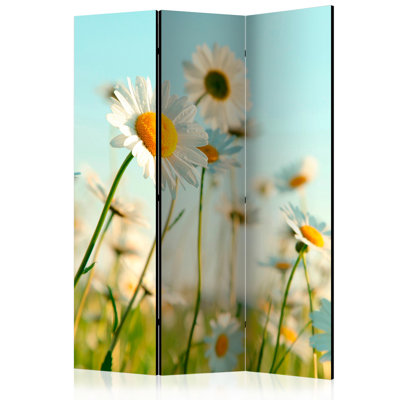 Mushegh 172cm H Folding Room Divider