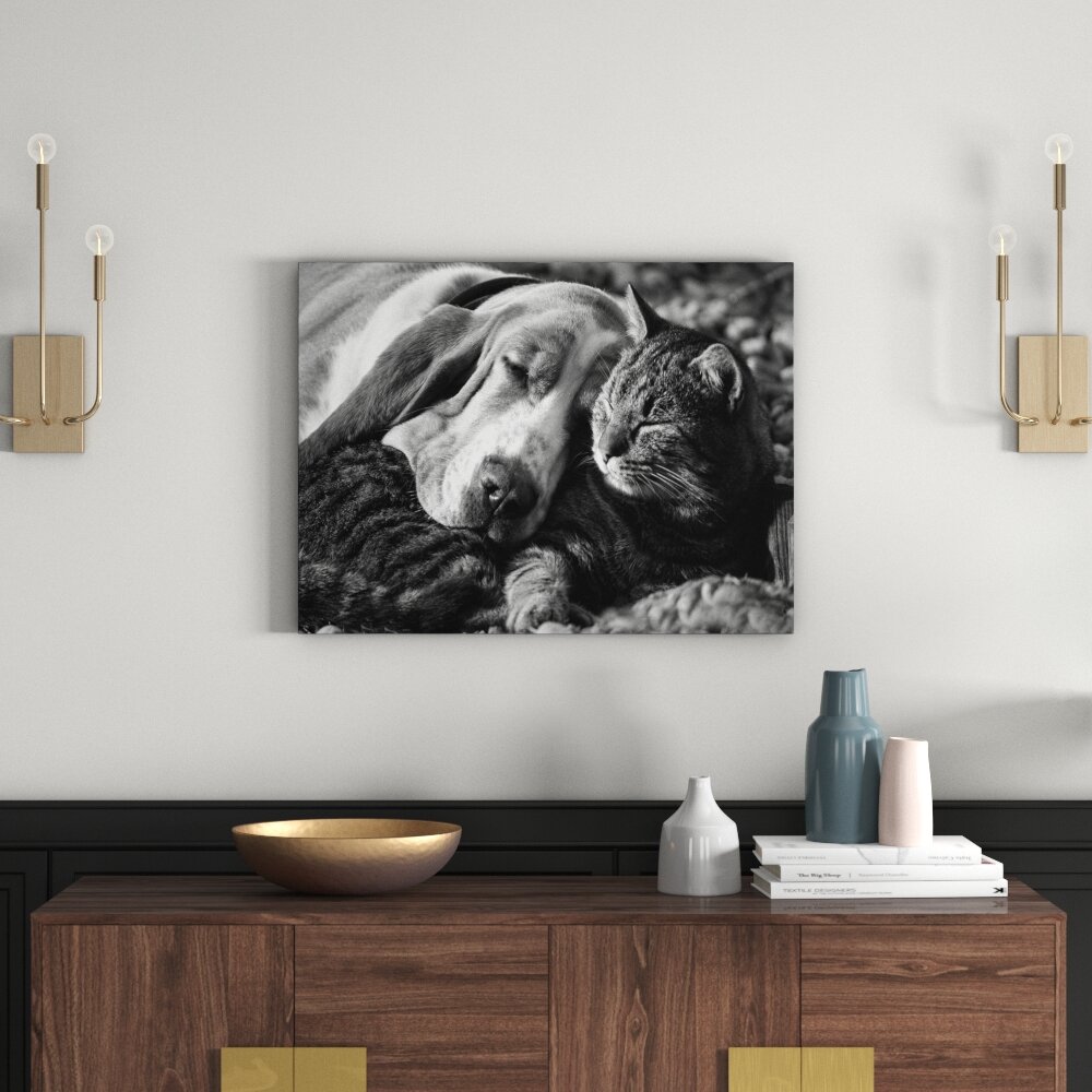 Leinwandbild „Katze und Hund kuschelnd“, Fotodruck