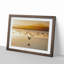 Birds on the Beach - Framed Print-55501126-55501129