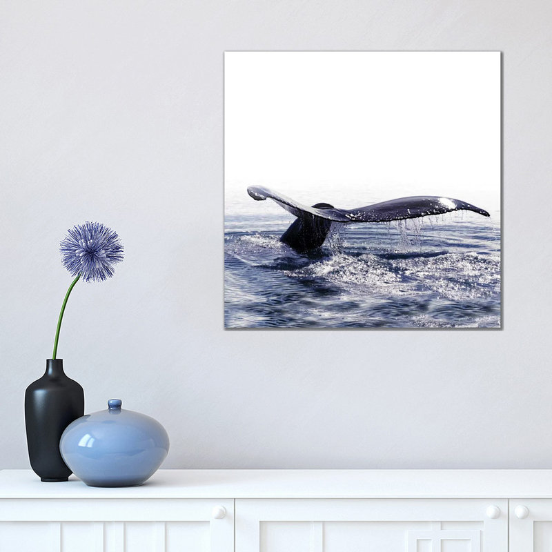 Whale Song Iceland I Square 1 Piece Wrapped Canvas Wall Art, 45.72 cm H x 45.72 cm W x 3.175 cm D