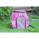 Collapsible Pet Carrier with 1 Door