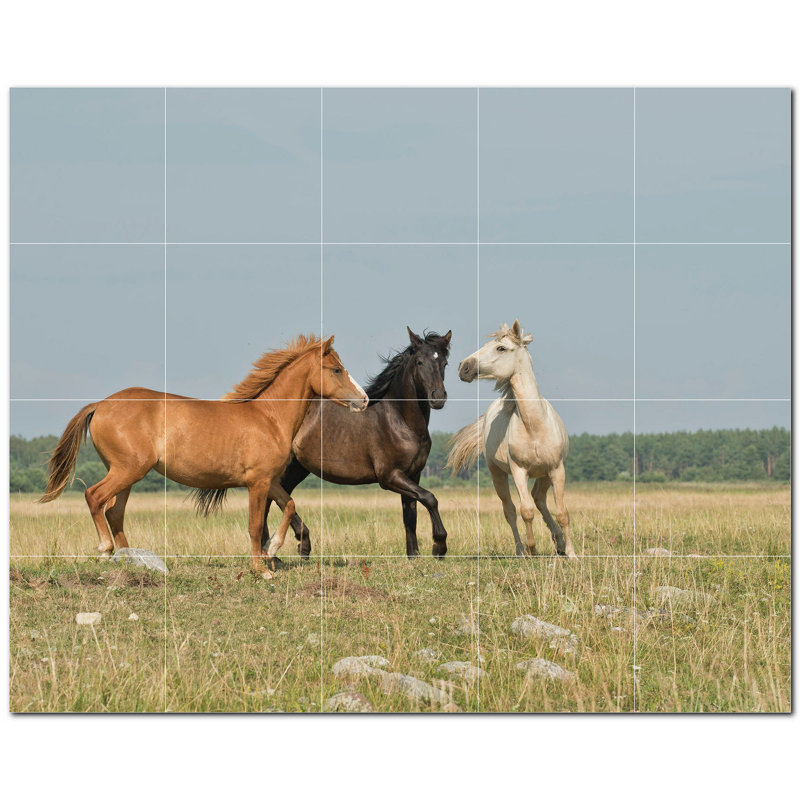 Photo de cheval 12 x 12