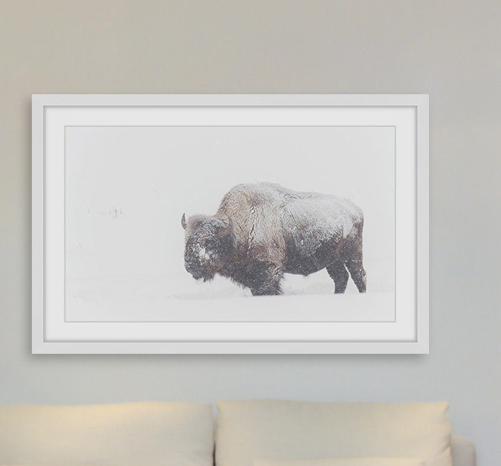 Parvez Taj - Single Picture Frame Print, 41cm H x 61cm W x 3.81cm D
