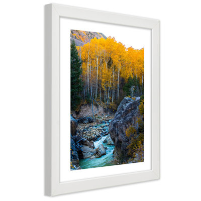 Stream, Forest, Nature - Single Picture Frame Print