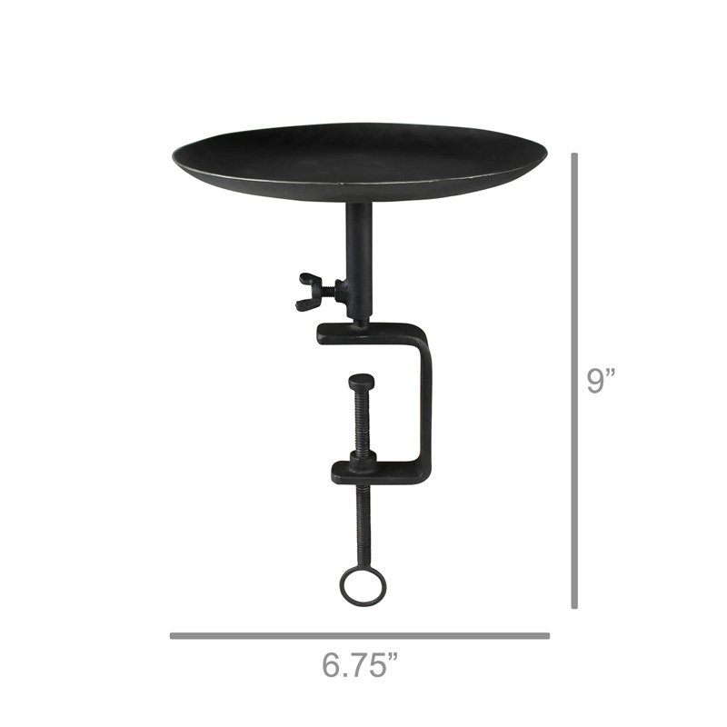 Angellyn Stainless Steel Tray