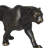Marquasha Animals Figurines & Sculptures