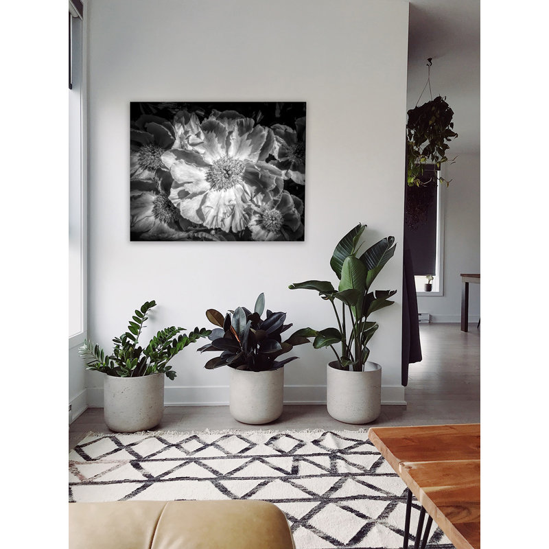 Moody American Peonies 24x36