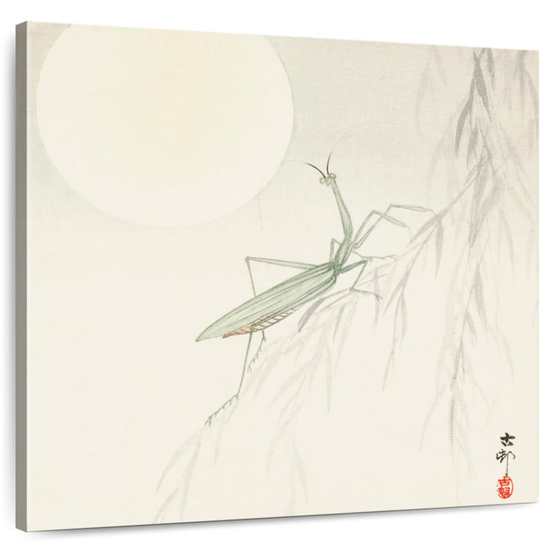 Brampt Praying Mantis