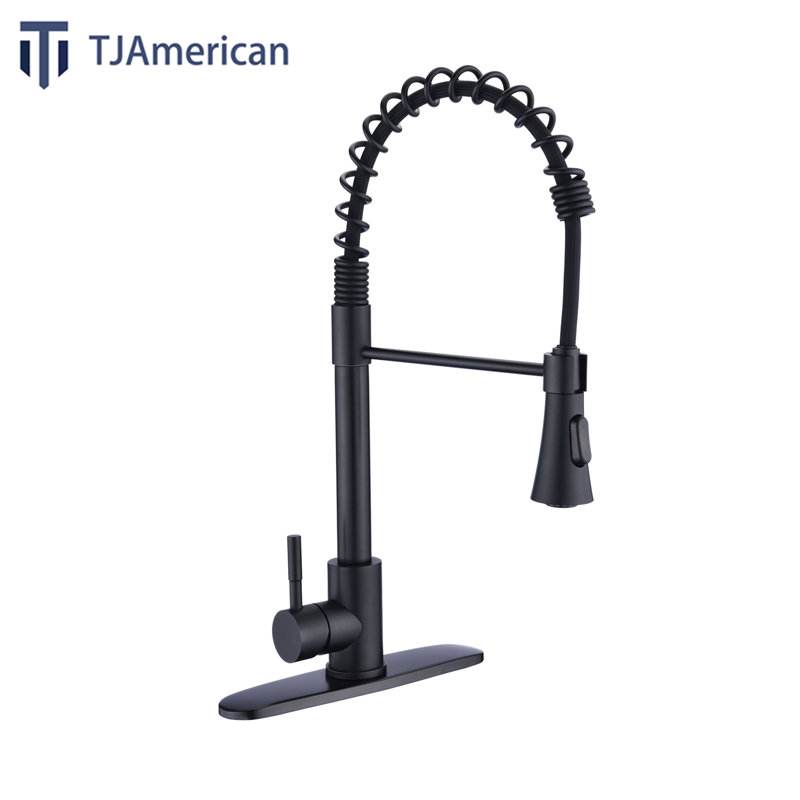 Robinet de cuisine à poignée simple TJAD0675, Matte Black