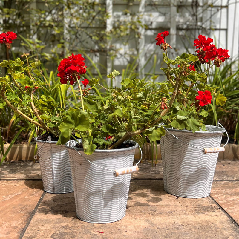 Ameia Metal Planter