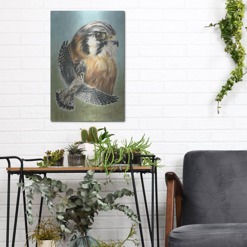 «American Kestrel» par Barbara Keith, H 16 po x l 12 po