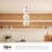 Queenstown Light Glass Steel Pendant-681289271-681289272