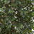 90'' Faux Lychee Tree in Pot