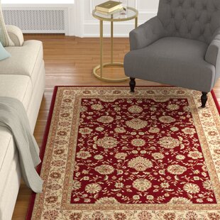 https://assets.wfcdn.com/im/89936907/resize-h310-w310%5Ecompr-r85/5676/56767650/lapp-power-loom-performance-red-3-pc-rug-set.jpg