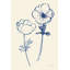 «Ink Anemones II» par Sara Zieve Miller, reproduction sur toile tendue-645286761-604079951-604079943