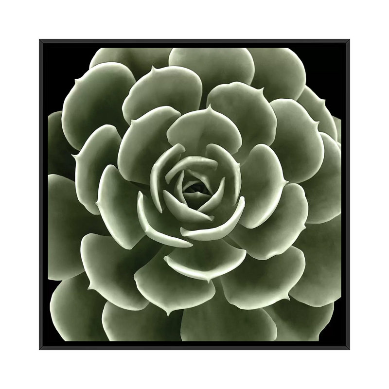 «Green Succulent IV» par Mia Jensen - reproduction d'art sur toile tendue, H 18 po x l 18 po x P 1,5 po