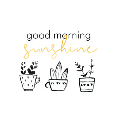 Morning Sunshine - Wrapped Canvas Print