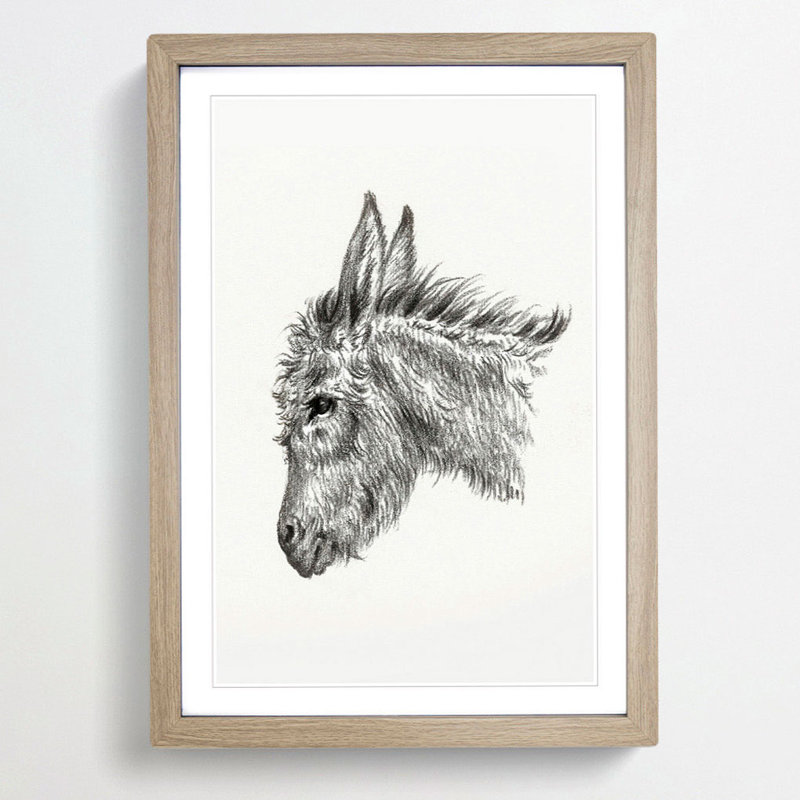 Head of a Donkey by Jean Bernard - Picture Frame Drawing Print, Oak Framed, 48cm H x 36cm W x 2cm D