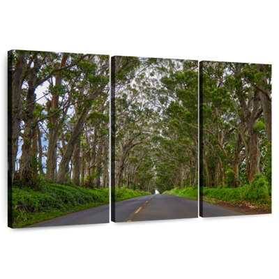 Mehar Kauai Tree Tunnel