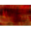 Amber Glaze Print by James McAllen-26677944-26677945