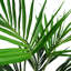 Faux Palm Plant in Pot Liner-88980146