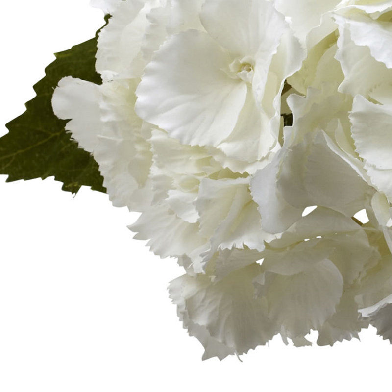 Hydrangea Arrangement in Vase