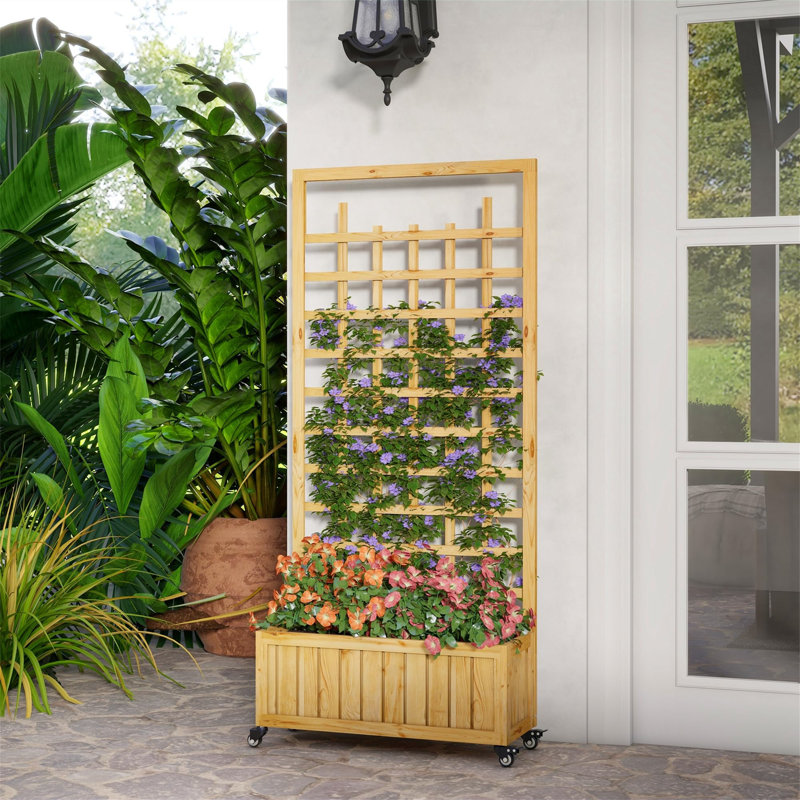 Gezana Wood Raised Garden Bed