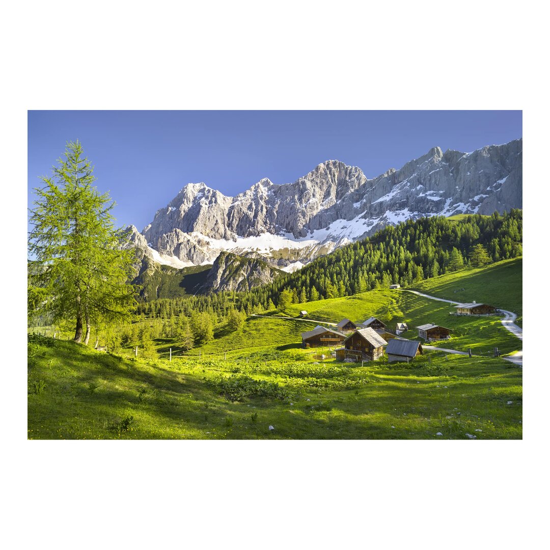 Strukturierte Tapete Styria Mountain Pasture 2,55 m x 384 cm