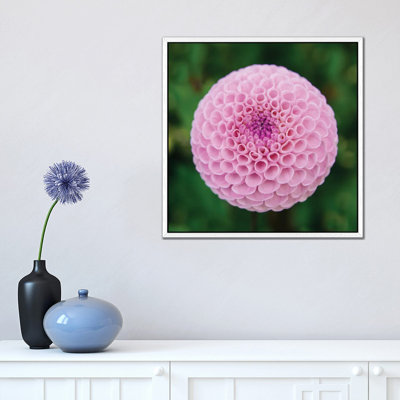 Joyful Rings II by Faith Evans-Sills - Gallery-Wrapped Canvas Giclée on Canvas