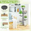 Plant Stand